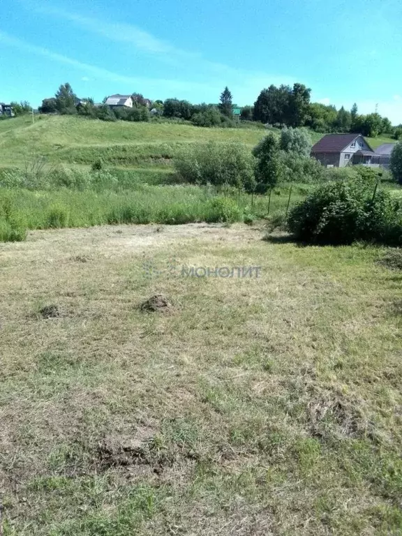Участок в Нижегородская область, Нижний Новгород городской округ, д. ... - Фото 2