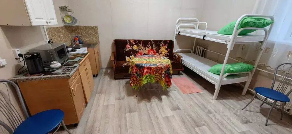 Студия Башкортостан, Учалы ул. Башкортостана, 2 (27.0 м) - Фото 1