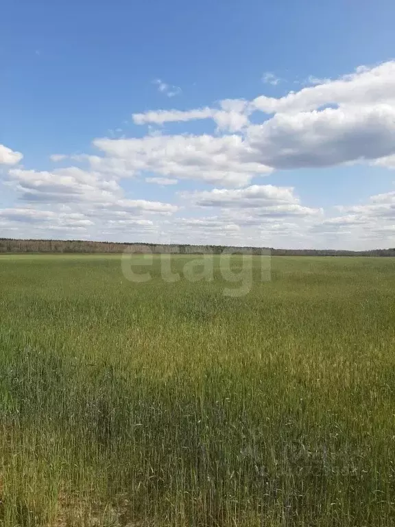 Участок в Московская область, Шатура городской округ, д. Дубровка 49 ... - Фото 0