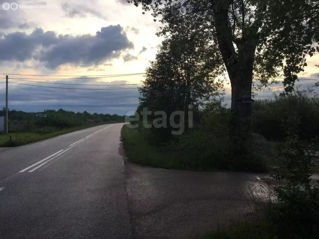 Участок в Калининградская область, Гурьевский муниципальный округ, ... - Фото 1