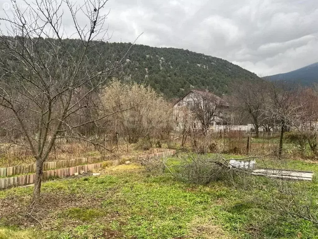 Участок в Орлиновский муниципальный округ, село Родниковое, Заречная ... - Фото 2