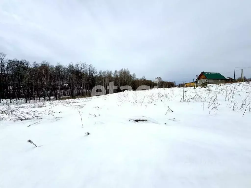 участок в красноярский край, емельяновский район, шуваевский . - Фото 0