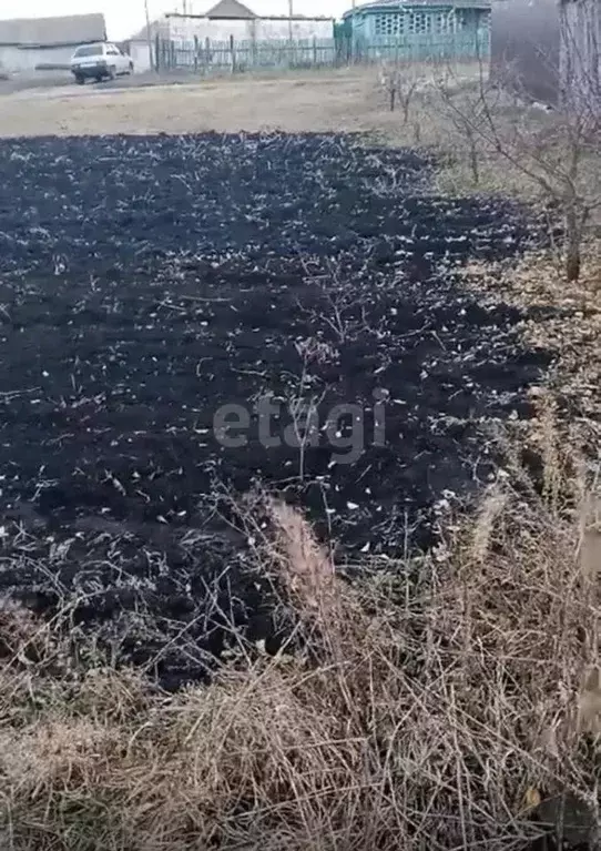 Участок в Тамбовская область, Уварово пер. Калинина, 34 (7.3 сот.) - Фото 2