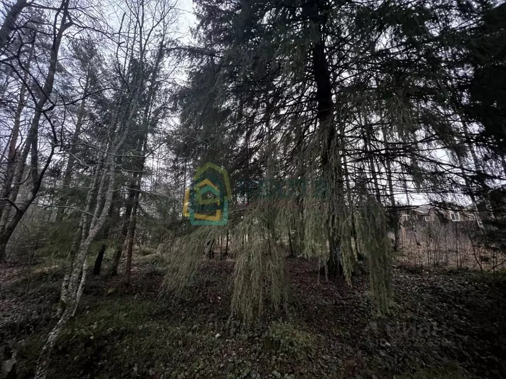 Участок в Ленинградская область, Всеволожский район, Куйвозовское ... - Фото 1