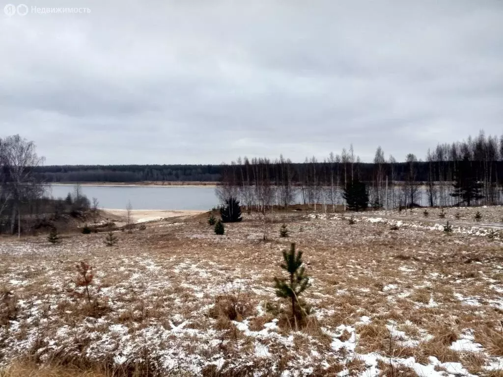 Участок в Угличский район, Отрадновское сельское поселение, деревня ... - Фото 0