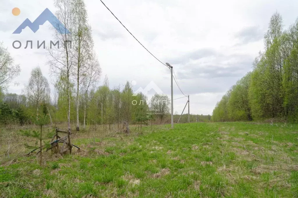 Участок в Вологодская область, Шекснинский муниципальный округ, д. ... - Фото 1