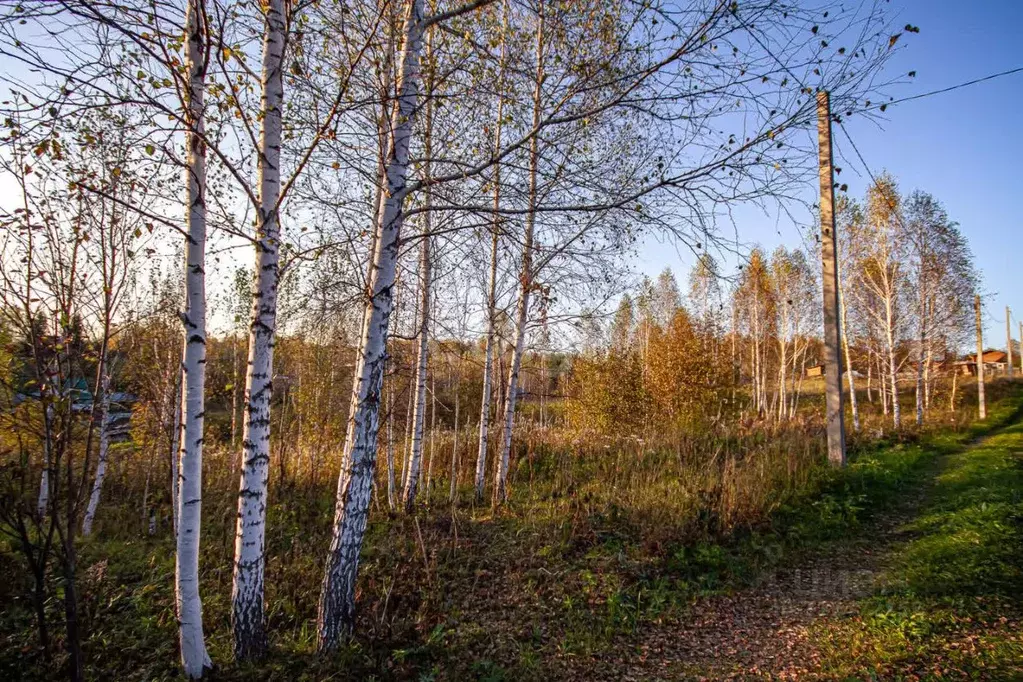 Участок в Новосибирская область, Новосибирский район, Раздольненский ... - Фото 0