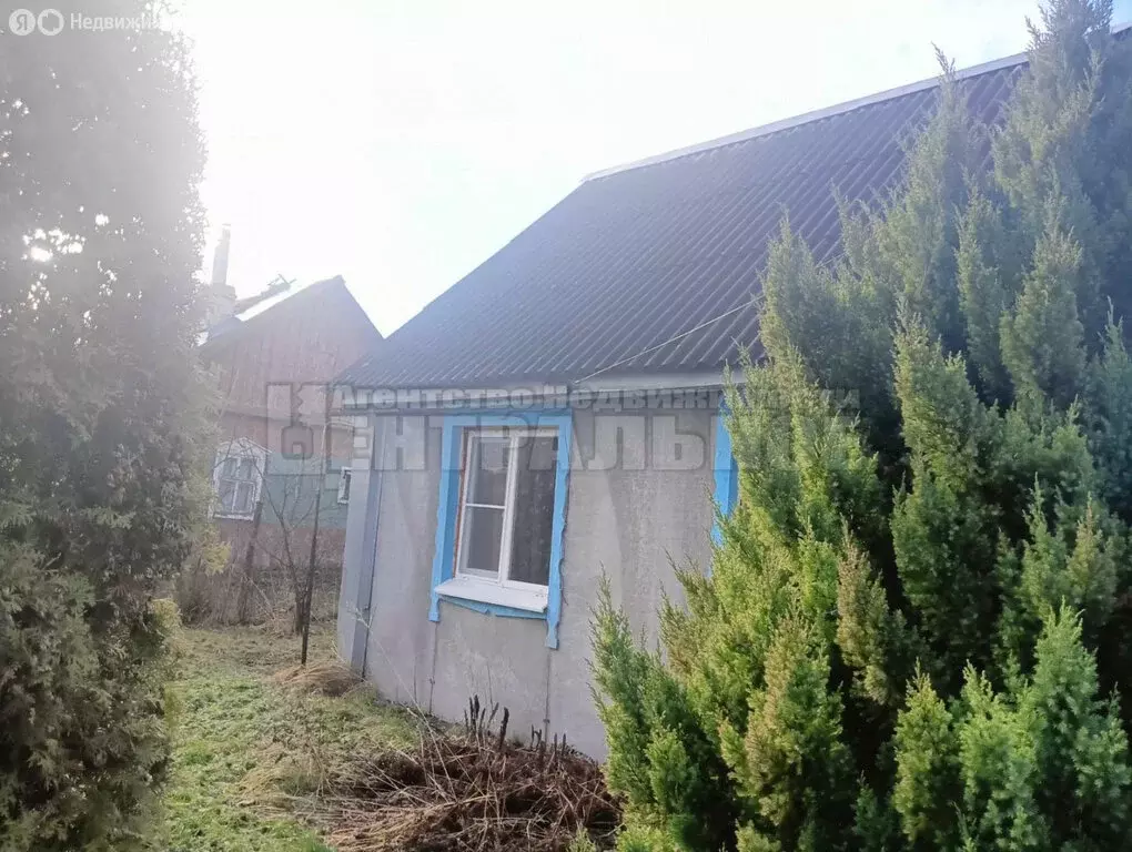 Дом в Починок, улица Лавриненкова, 31 (56.9 м) - Фото 2