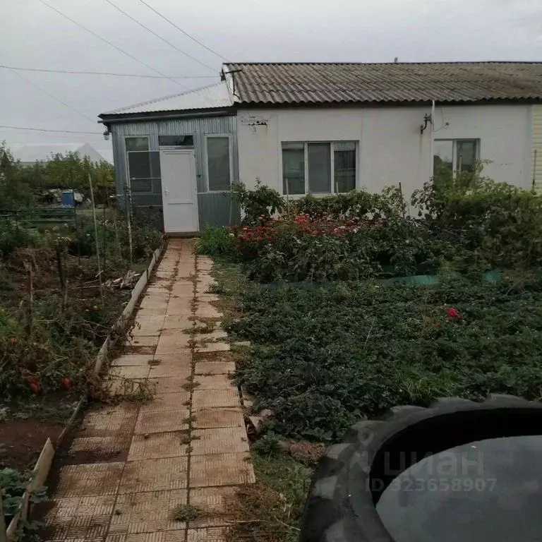 Дом в Оренбургская область, Переволоцкий район, Садовый сельсовет, ... - Фото 2