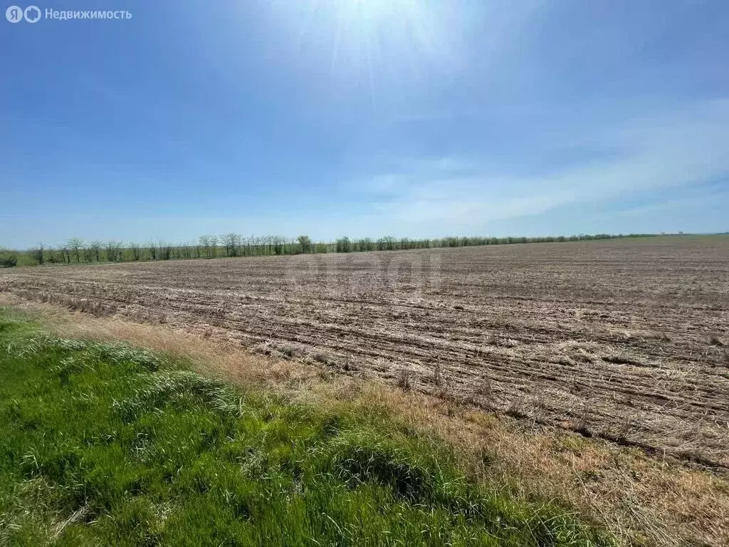 Участок в Симферопольский район, посёлок городского типа Николаевка ... - Фото 1