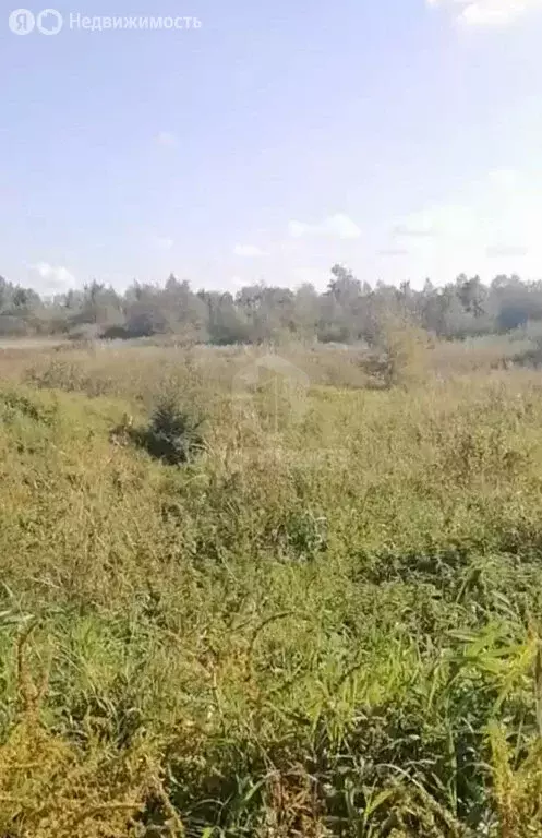 Участок в Гусевский городской округ, посёлок Подгоровка (2 м) - Фото 2