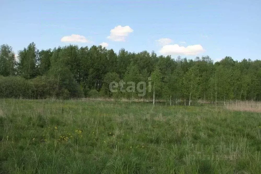 Участок в Кемеровская область, Кемеровский муниципальный округ, пос. ... - Фото 1