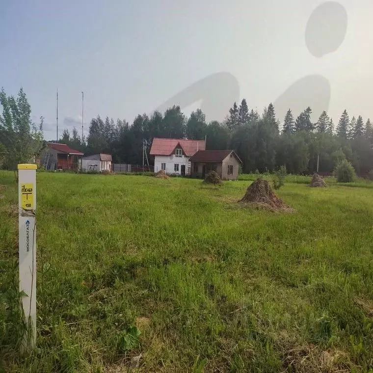 Участок в Московская область, Солнечногорск ул. Пасхальная (15.0 сот.) - Фото 0