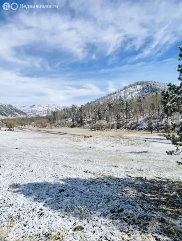 Участок в село Чемал, Алтайская улица (400 м) - Фото 2