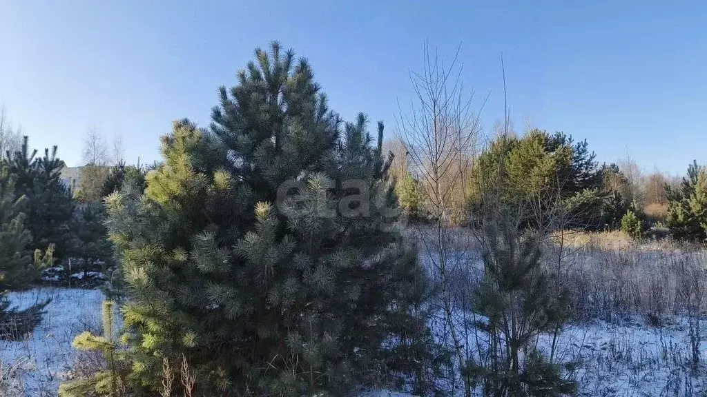 Участок в Калужская область, Калуга городской округ, д. Воровая  (15.0 ... - Фото 2