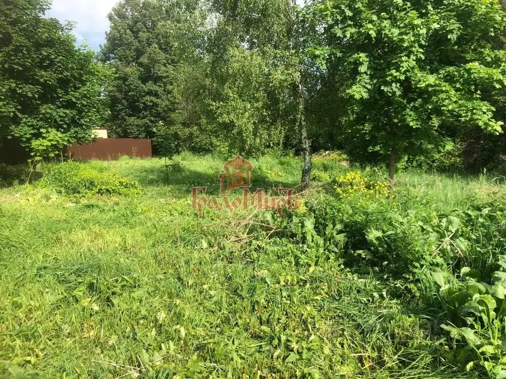 Участок, 10 сот., поселения (ижс) - Фото 1