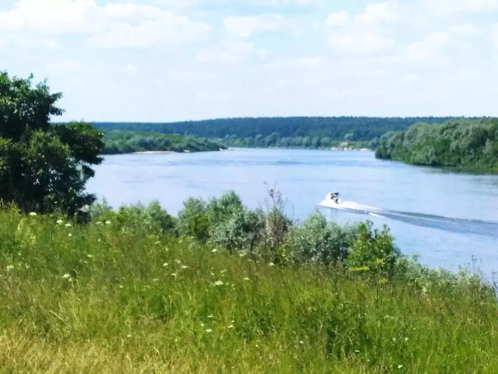 Участок в Тульская область, Ясногорский район, Иваньковское с/пос, с. ... - Фото 1