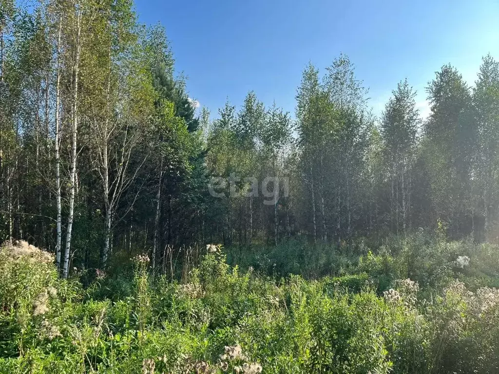 участок в кемеровская область, кемеровский район, д. солонечная ул. . - Фото 0