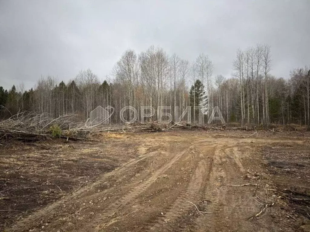 Участок в Тюменская область, Нижнетавдинский район, с. Тюнево  (11.0 ... - Фото 1