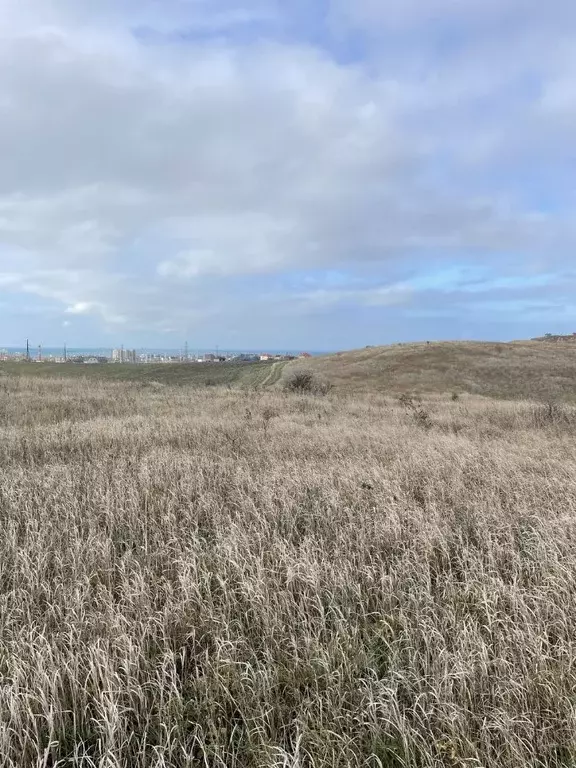 Участок в Краснодарский край, Анапа муниципальный округ, пос. Верхнее ... - Фото 2