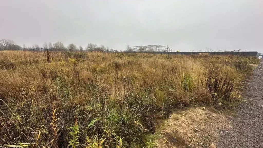 Участок в Московская область, Солнечногорск городской округ, д. ... - Фото 2