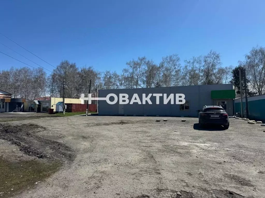 Торговая площадь в Алтайский край, с. Романово ул. Советская, 46 (502 ... - Фото 1