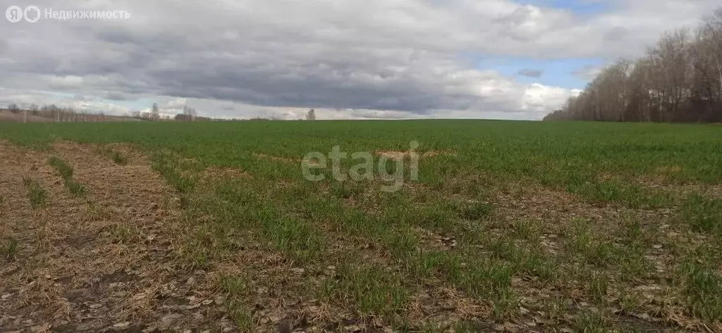 Участок в Бессоновский район, садоводческое некоммерческое ... - Фото 1