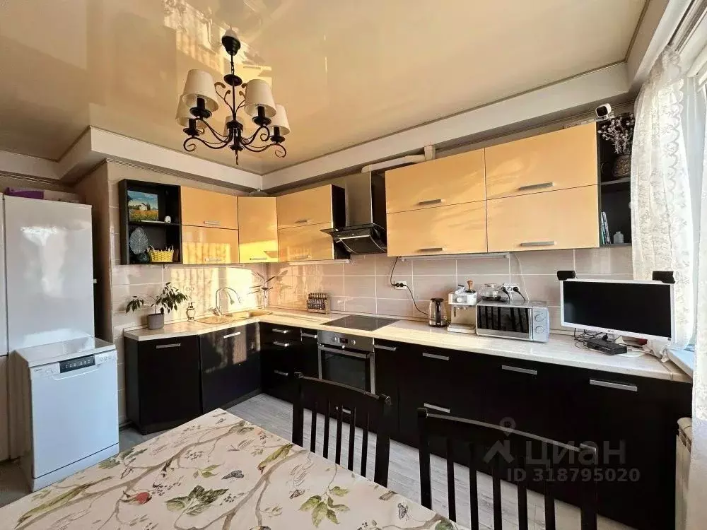 2-к кв. Оренбургская область, Оренбург Просторная ул., 23/3 (65.0 м) - Фото 2