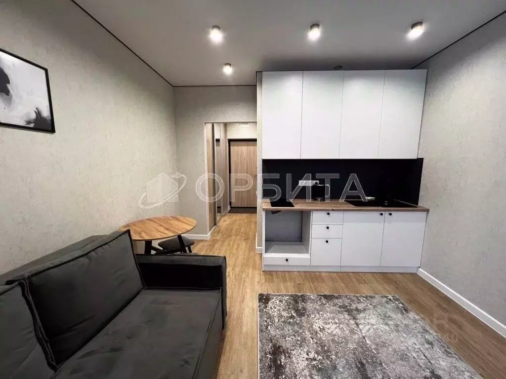 Студия Тюменская область, Тюмень ул. Фармана Салманова, 26 (20.0 м) - Фото 2