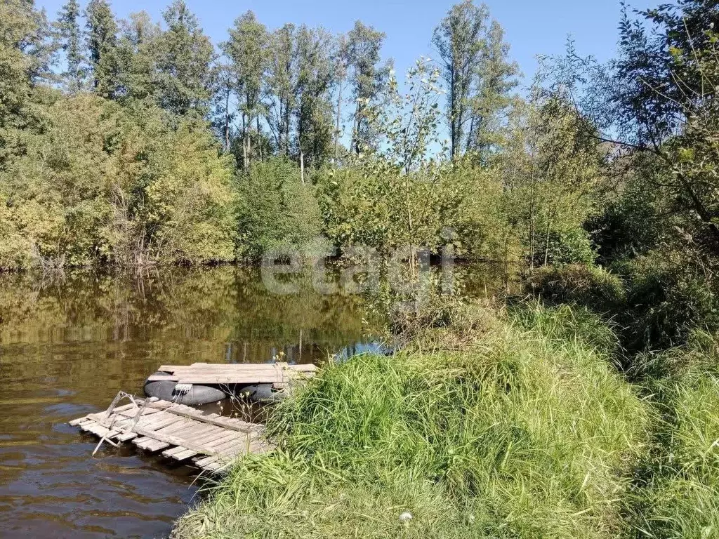 Участок в Брянская область, Выгоничский район, Кокинское с/пос, с. ... - Фото 1