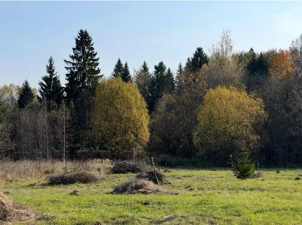 Участок в Владимирская область, Александровский район, Следневское ... - Фото 0