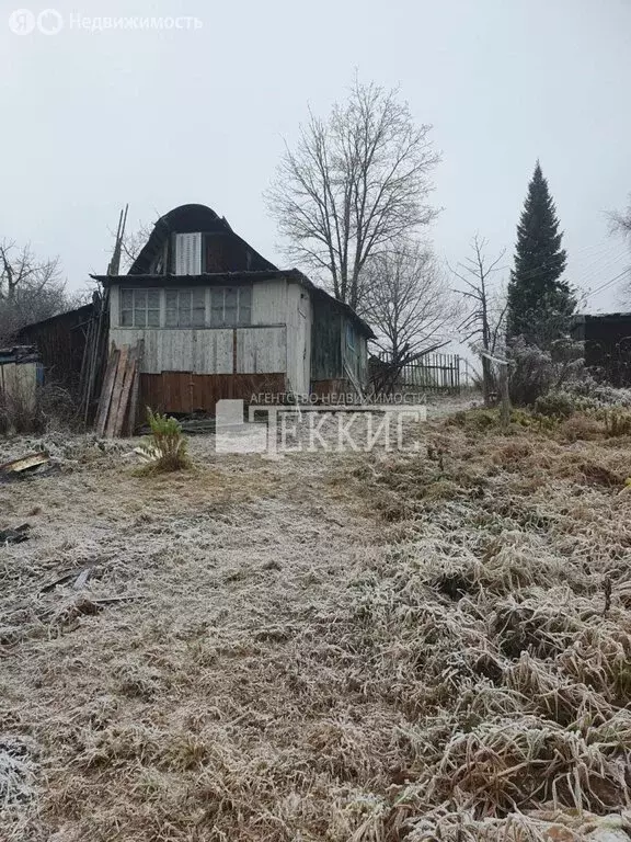 Участок в Вологодская область, Грязовецкий муниципальный округ, ... - Фото 1