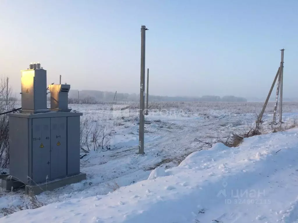 Участок в Новосибирская область, Мошковский район, с. Томилово  (6.0 ... - Фото 1