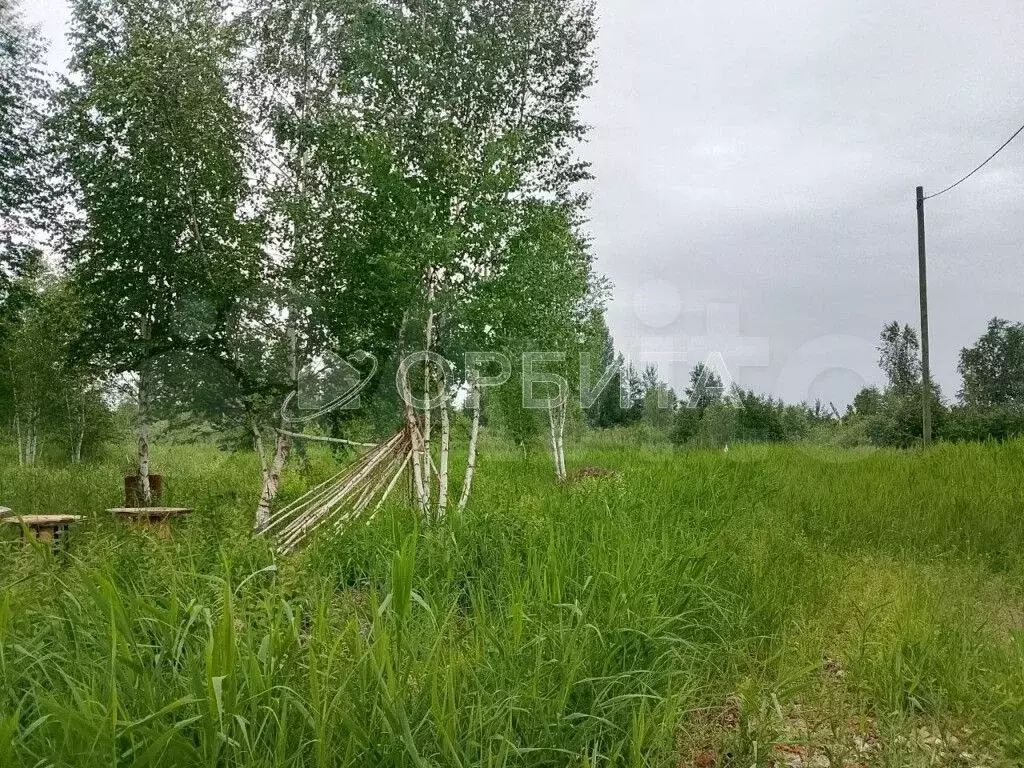 Участок 10 сот. (СНТ, ДНП) - Фото 1