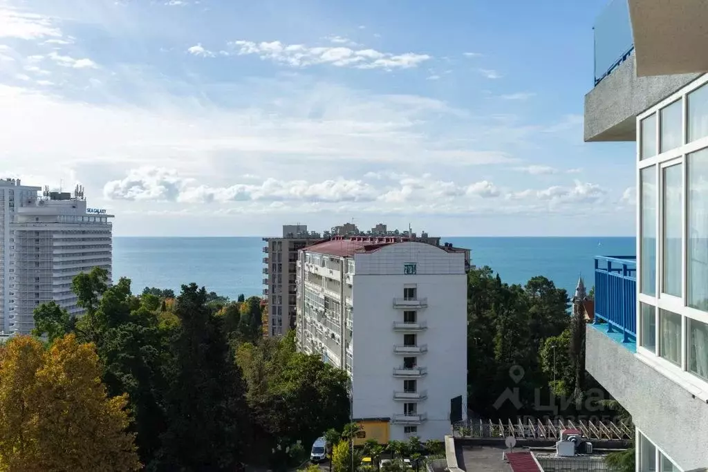 1-к кв. Краснодарский край, Сочи Светлана мкр, ул. Депутатская, 10 ... - Фото 1