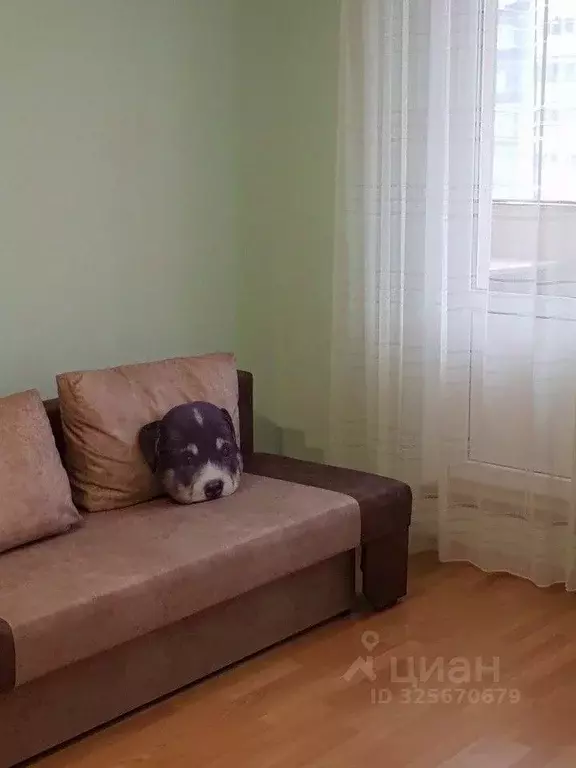 1-к кв. Свердловская область, Екатеринбург ул. Таганская, 55 (33.0 м) - Фото 1