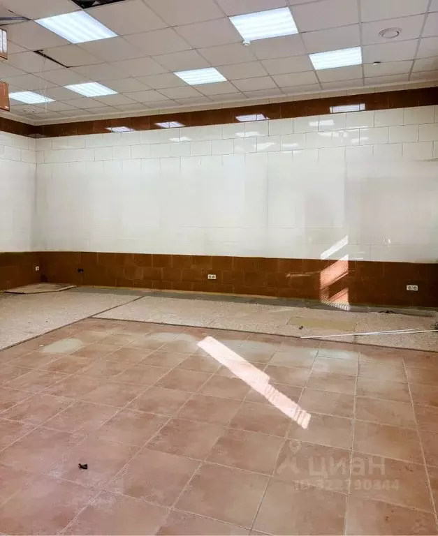 Помещение свободного назначения в Новосибирская область, Новосибирск ... - Фото 1