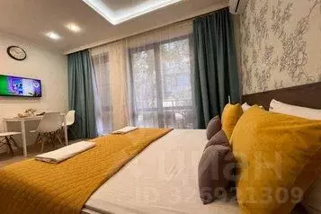 1-к кв. Краснодарский край, Сочи ул. Ленина, 219А/1 (23.0 м) - Фото 1