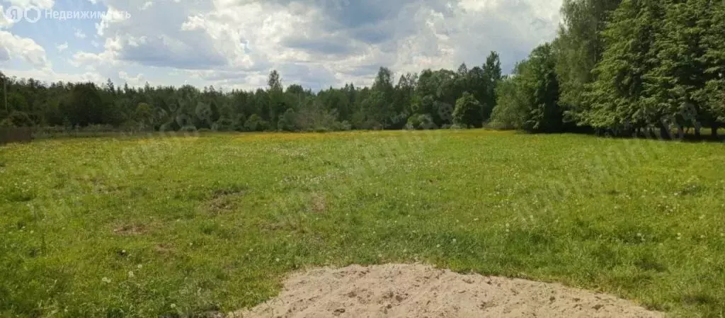 Участок в Тверская область, Калининский муниципальный округ, село ... - Фото 0