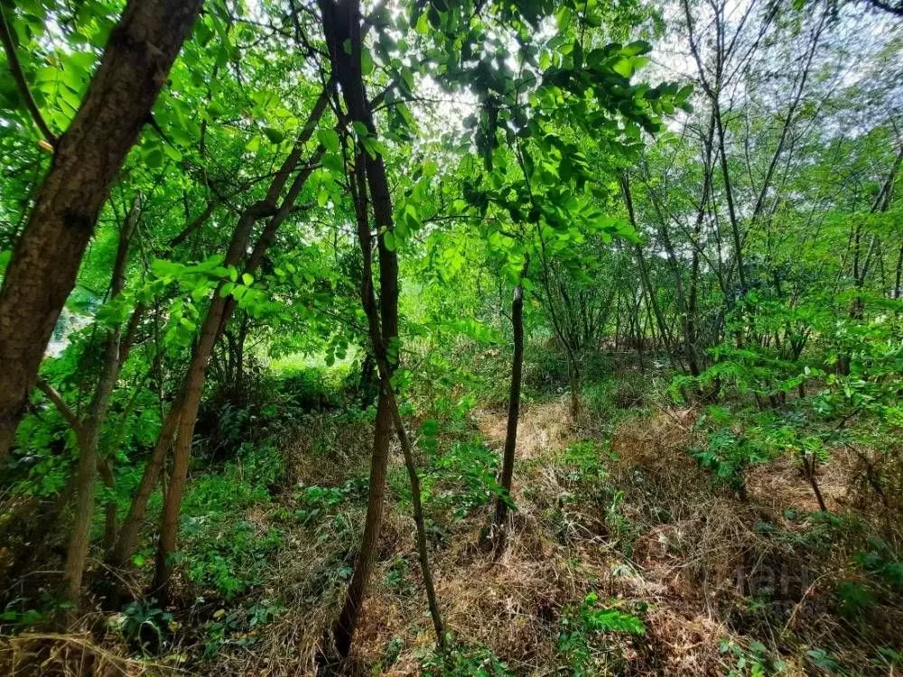 Участок в Ставропольский край, Кисловодск Широкая ул. (22.0 сот.) - Фото 1