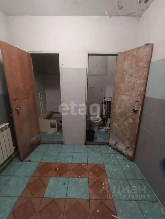 Помещение свободного назначения в Камчатский край, Елизово Пограничный ... - Фото 2