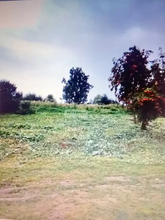 Участок в Калужская область, Козельский район, Попелево с/пос, д. ... - Фото 2