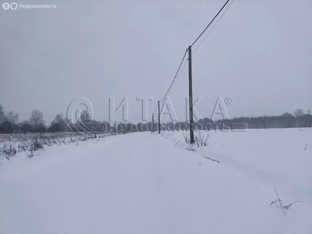 Участок в Ленинградская область, Гатчинский муниципальный округ, ... - Фото 1