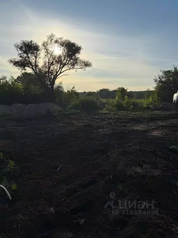 Участок в Воронежская область, Воронеж Репное мкр,  (8.0 сот.) - Фото 2