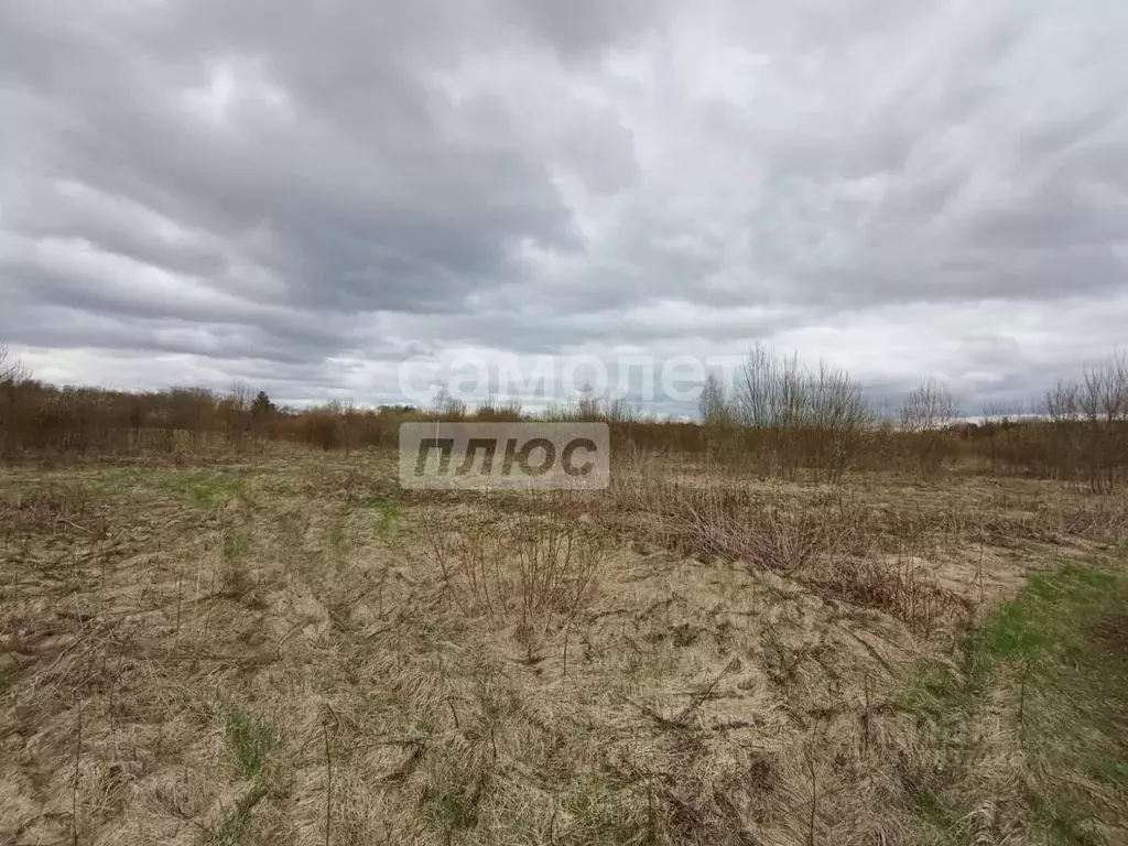 Участок в Ленинградская область, Тосненский район, Любанское городское ... - Фото 1