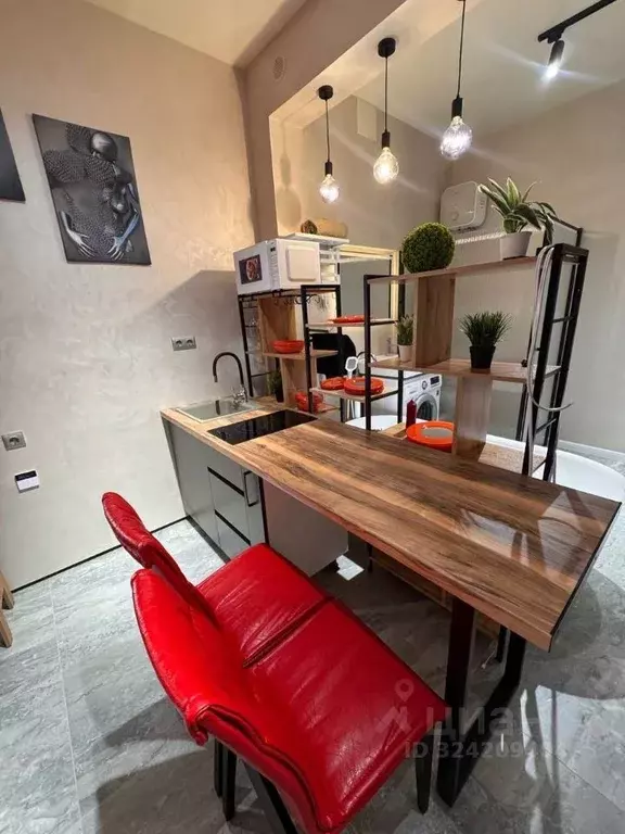 Студия Краснодарский край, Новороссийск Мысхакское ш. (24.4 м) - Фото 2