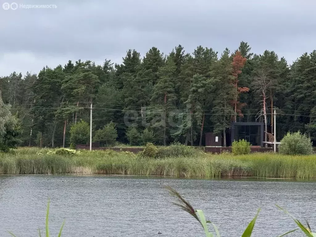Участок в Липецкая область, Добровский муниципальный округ, село ... - Фото 0