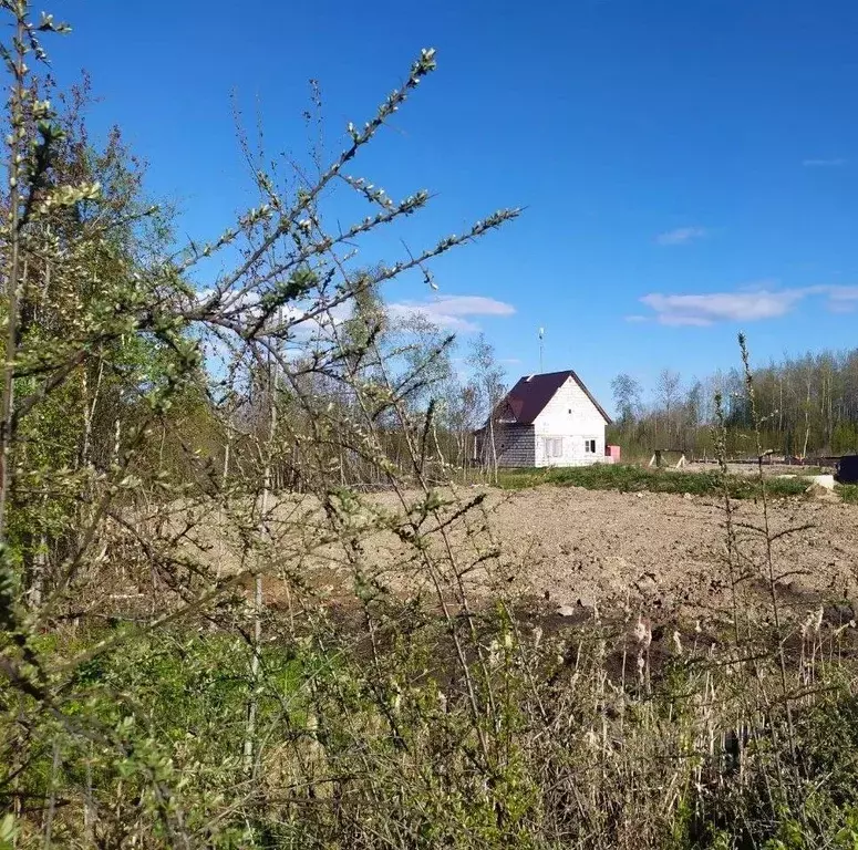 Участок в Новгородская область, Новгородский район, Ермолинское с/пос, ... - Фото 0