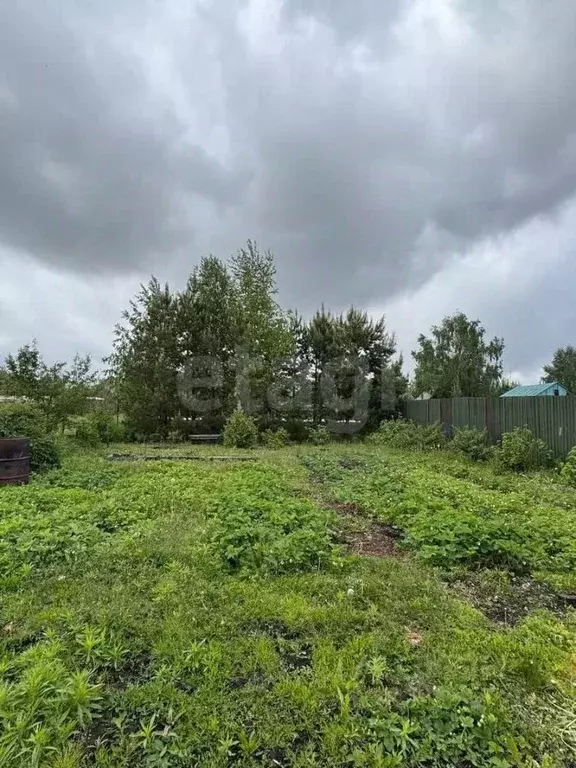 Участок в Новосибирская область, Новосибирский район, Морской ... - Фото 1