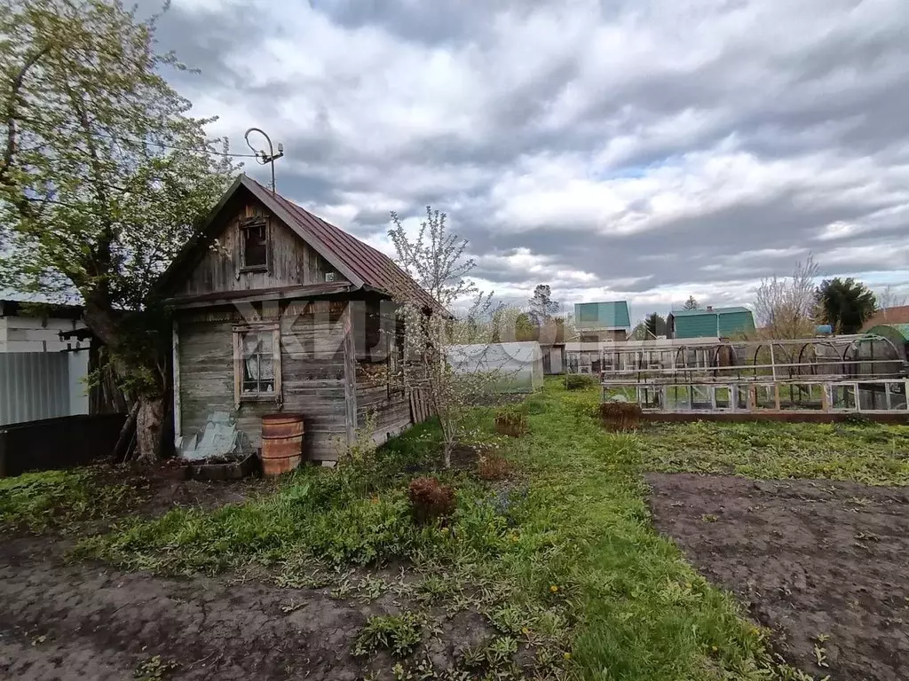 Дом в Новосибирская область, Новосибирск Садовод-ССМ садовое ... - Фото 2